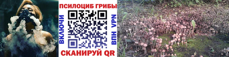 ссылка на мегу зеркало  Тара  shop как зайти  купить наркотики сайты  Галлюциногенные грибы MAGIC MUSHROOMS 